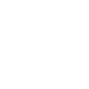 Government Agencies icon