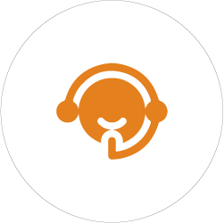 Professional Support and Dedicated Assistance