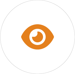 Expert Assistance and Tailored Guidance